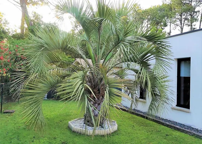 Lucia, Moderne Avec Piscine Temperee, Ping Pong, Proche A Vieux-boucau *
