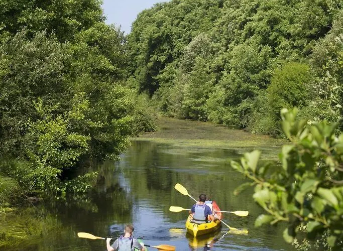 Lucia, Moderne Avec Piscine Temperee, Ping Pong, Proche A Vieux-boucau * Вьё-Боко-ле-Бен