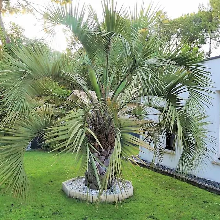 Lucia, Moderne Avec Piscine Temperee, Ping Pong, Proche A Vieux-boucau *